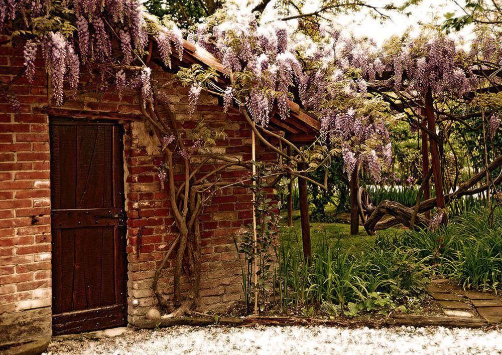 Agriturismo Il Gioco Dell'Oca Barolo Exteriör bild